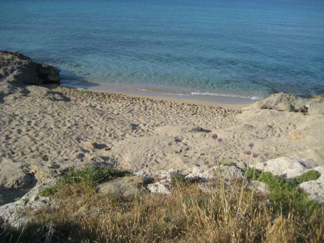 Attico A 150 Mt Dal Mare Marina di Mancaversa Exterior foto